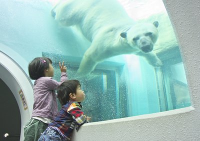 🦁 시즈오카 시립 니혼다이라 동물원 (니혼다이라 도부쓰엔)